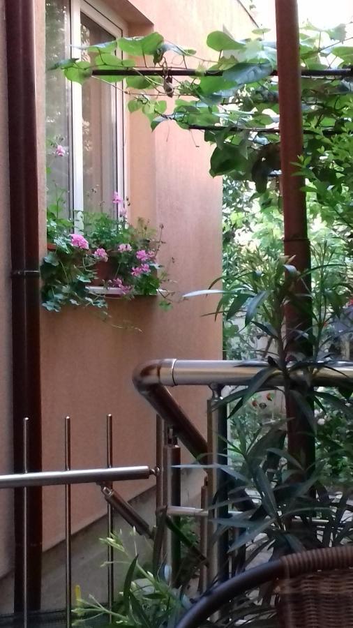 Guest House Nedelchevi بريمورسكو المظهر الخارجي الصورة